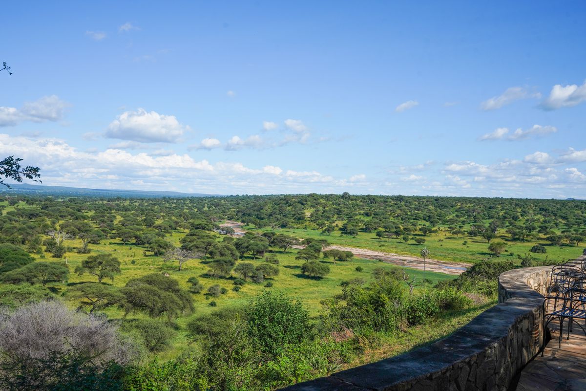 Discovering Tarangire's charms