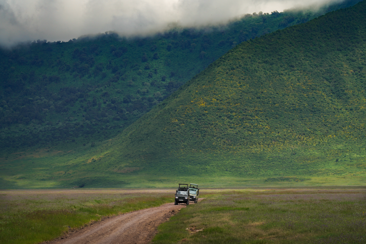 Vehicles in the Ngorongoro Crater