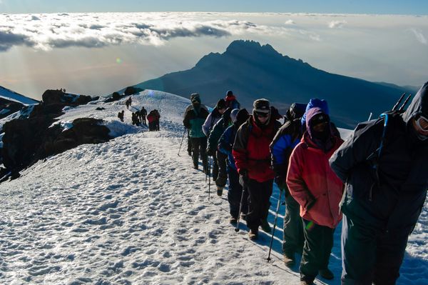 What tour company should I use when climbing Kilimanjaro?