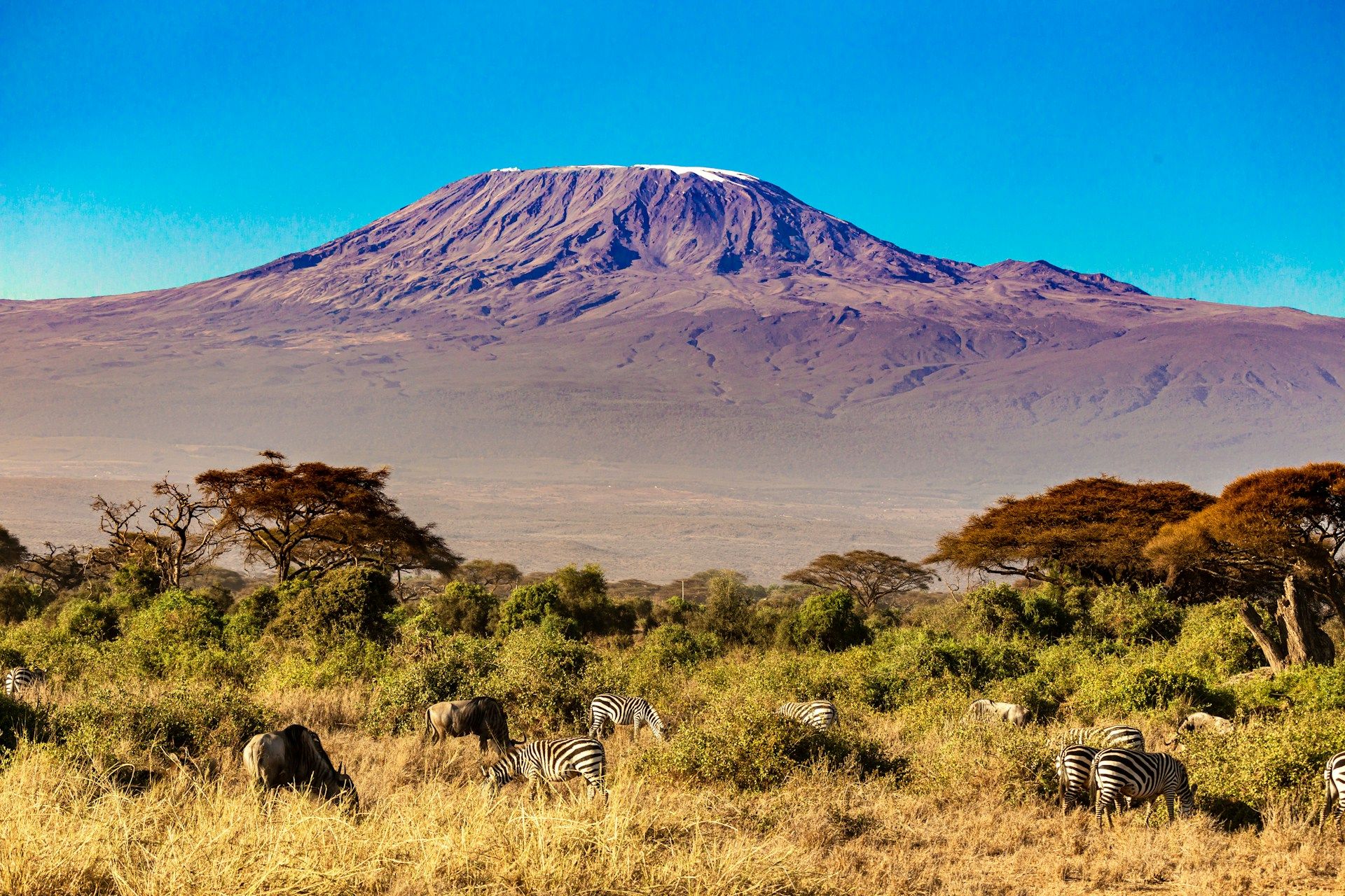Mount Kilimanjaro's Routes